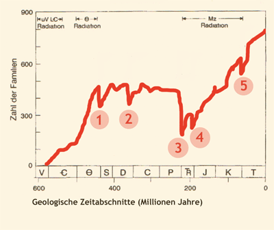 Diagramm Massenaussterbeereignisse