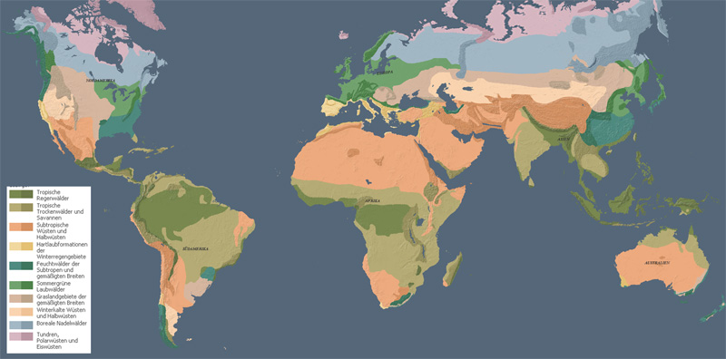 Vegetationszonen