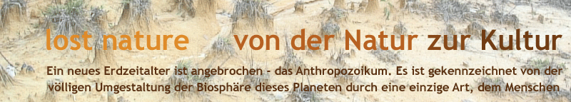 Darstellung Verwüstung