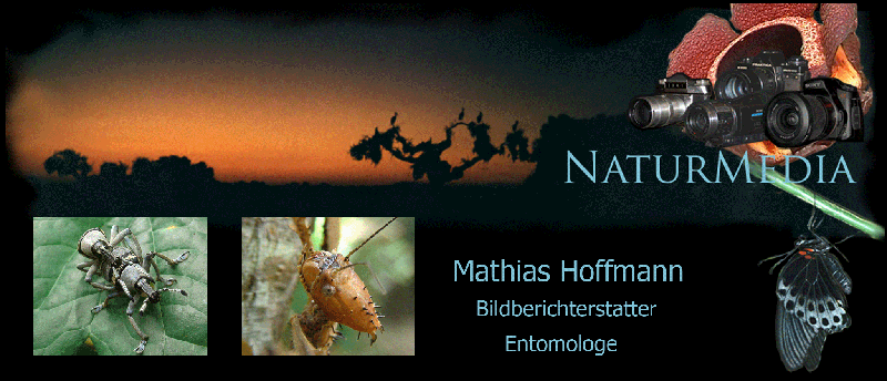 verschiedene Kameras